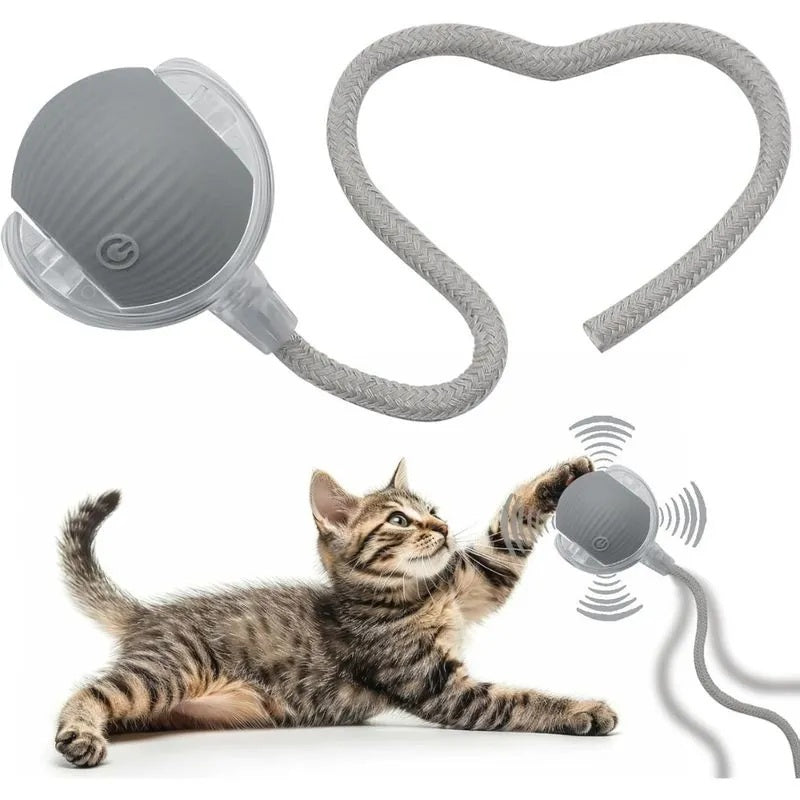 Pelota Interactiva Inteligente Para Gatos